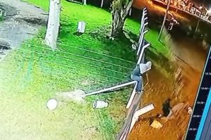 (videos) Robaron garrafas en la planta de YPF Gas Linolan. Reforzarán la seguridad