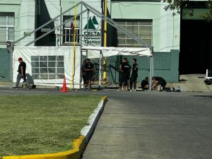 (videos) Los preparativos para la Fiesta del Trigo en fotos y videos