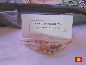 (audio y videos)La Mesa Redonda y un claro mensaje: mejor calidad y financiación
