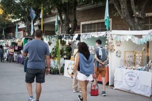 Intensa actividad en la Fiesta Provincial del Trigo