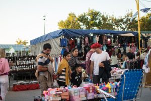 Intensa actividad en la Fiesta Provincial del Trigo