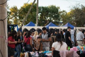 Intensa actividad en la Fiesta Provincial del Trigo
