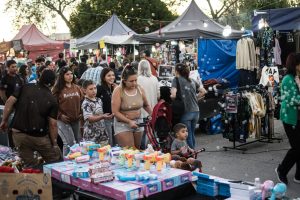 Intensa actividad en la Fiesta Provincial del Trigo