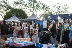 Intensa actividad en la Fiesta Provincial del Trigo