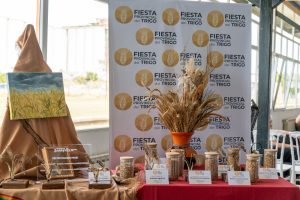 Fiesta del Trigo: reconocimiento y premio a los actores vinculados al cereal