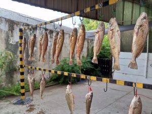 Pesca – El Quequén: Luis Rodriguez se coronó gran ganador. Lucas Salimeni triunfó en la “Variada”