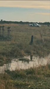 San Cayetano: seis aprehendidos por caza furtiva y secuestro de un vehículo