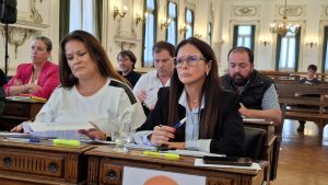 El HCD no ratificó el convenio para contar con conectividad aérea