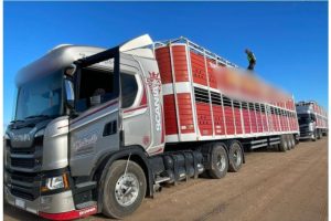 El CPR, trabaja para controlar y cuidar el tránsito en los Caminos Rurales