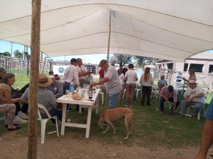 Buenos precios y excelente hacienda en el remate de La Agrícola Ganadera