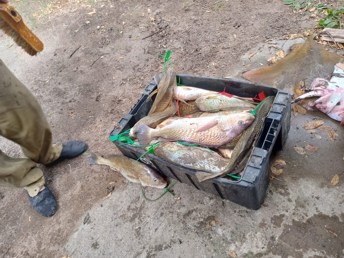Pesca - El Quequén: Gustavo Tenaglia lidera la general y Gaston Zucco la 