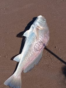 Pablo Bianco, de Tres Arroyos, el gran ganador del concurso de Echegoyen