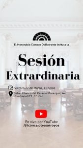 Vuelos: en Sesión Extraordinaria el Concejo trata el polémico convenio