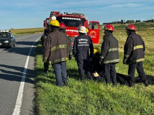 Un herido en vuelco sobre Ruta 228 cerca de “El Pescado”