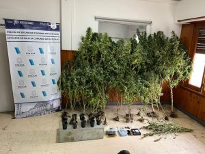 San Cayetano: un detenido por venta de estupefacientes