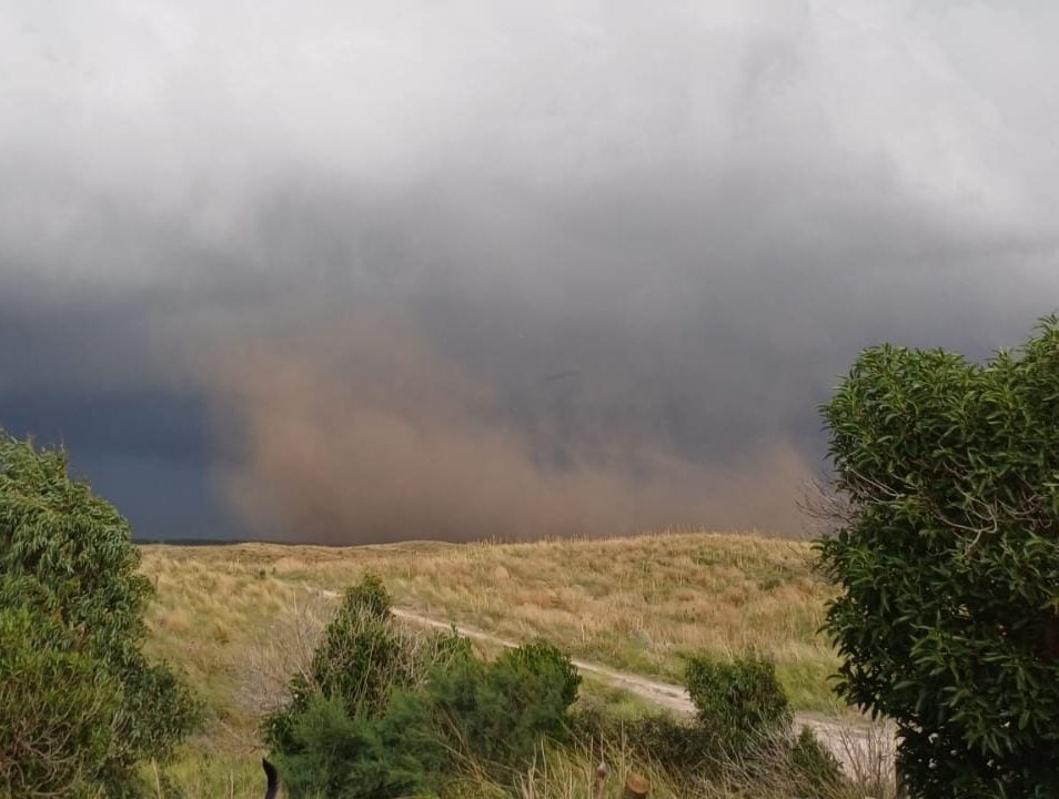 Temporal: Cayó un árbol sobre un transformador y dejó sin luz a Reta