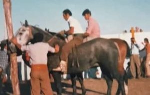 (audio)Julio Cesar Barrionuevo: su historia de amor por los caballos y El Zorro