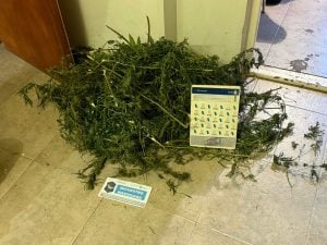 Preso por Violencia de Género, tenencia de armas y estupefacientes