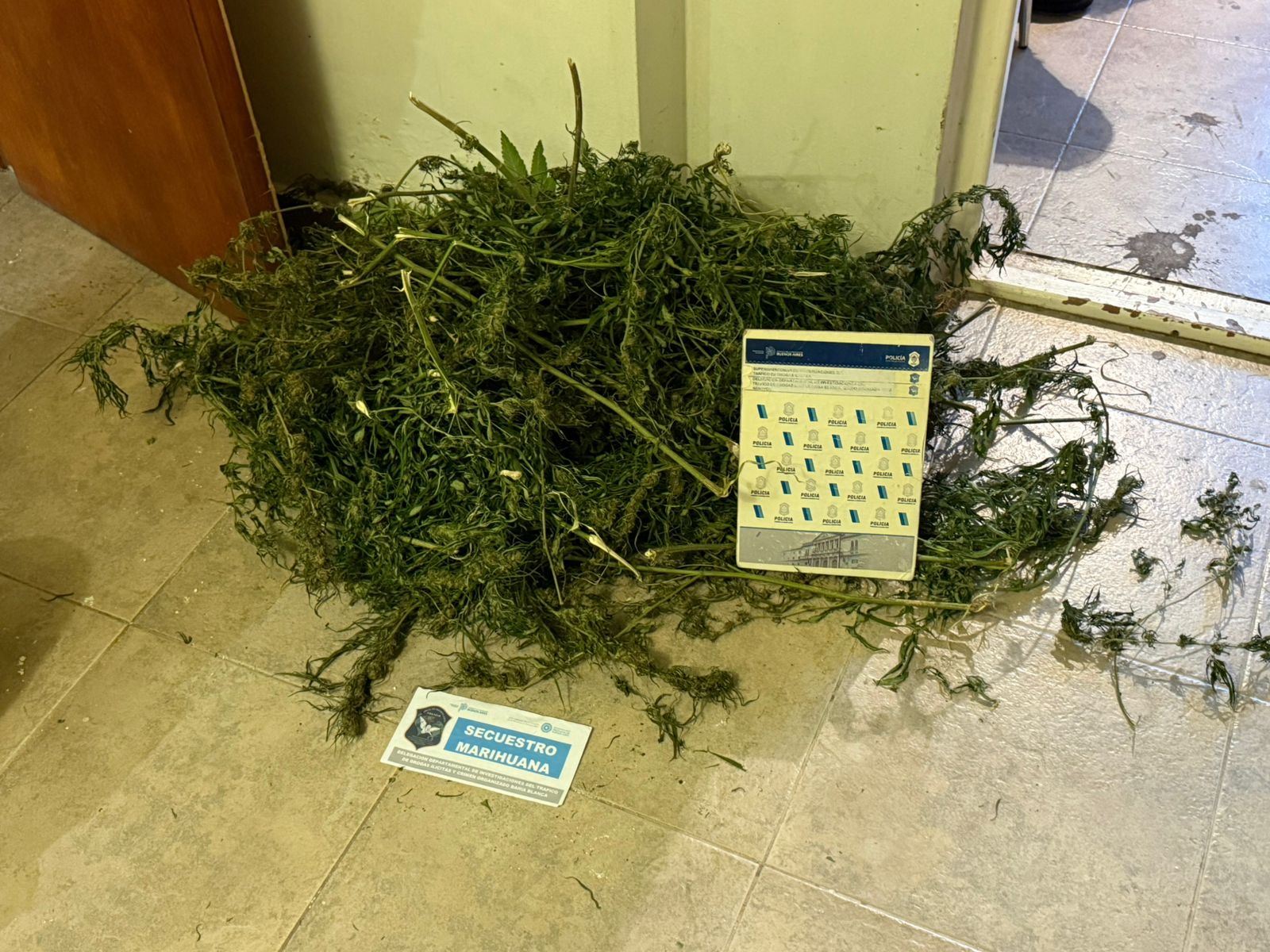 Preso por Violencia de Género, tenencia de armas y estupefacientes