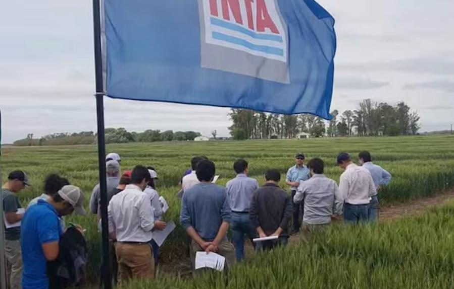 Reestructuración del INTA:  Eliminan 14 agencias