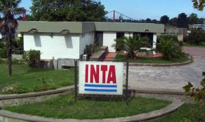 (audio)“La sucursal de INTA en San Cayetano seguirá funcionado”, dijo Natalia Carrasco