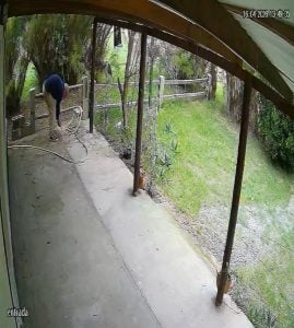 (video)Indignación en Copetonas: Sujeto roba y además hace sus necesidades en la entrada