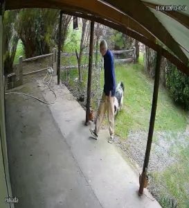 (video)Indignación en Copetonas: Sujeto roba y además hace sus necesidades en la entrada