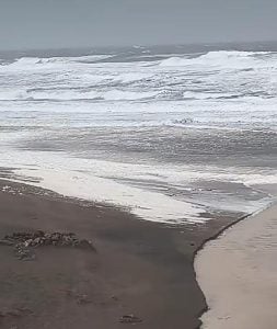 (audios)Continúa la alerta amarilla por viento para Tres Arroyos