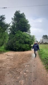Claromecó: comenzaron los trabajos después del temporal