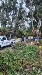 Claromecó: comenzaron los trabajos después del temporal