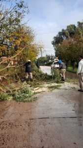 Claromecó: comenzaron los trabajos después del temporal