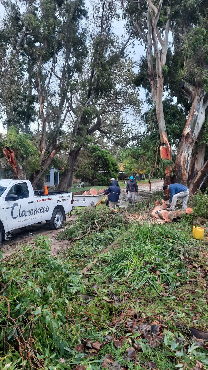 Claromecó: comenzaron los trabajos después del temporal