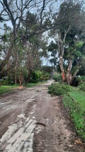 Claromecó: comenzaron los trabajos después del temporal