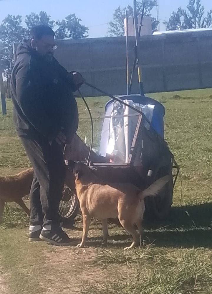 Alimenta a 80 perros callejeros por día: “a veces me quedo sin comer para darles a ellos”, dijo Cristian Monserrat