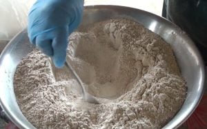 Harina de banana: “sin los trabajadores no tendríamos nada que mostrar”, dijo Ortiz, del INTA