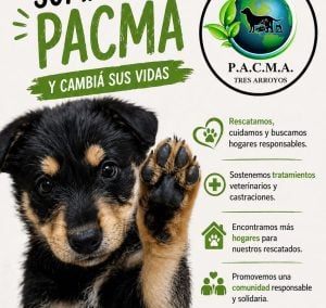 Día del Animal: “nos da mucha felicidad cuando buscan un perro adulto”, dijo Sol Bruno (audio)