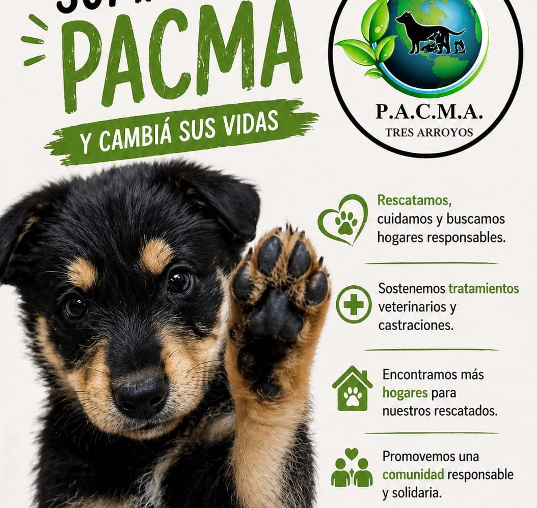 Día del Animal: “nos da mucha felicidad cuando buscan un perro adulto”, dijo Sol Bruno (audio)