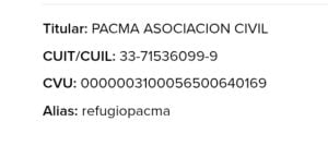 Día del Animal: “nos da mucha felicidad cuando buscan un perro adulto”, dijo Sol Bruno (audio)