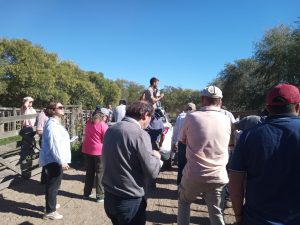 Excelente remate feria de Arzoz y CÍA con firmeza en los precios