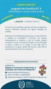 Guarda con fines de adopción: Joaquín busca una familia