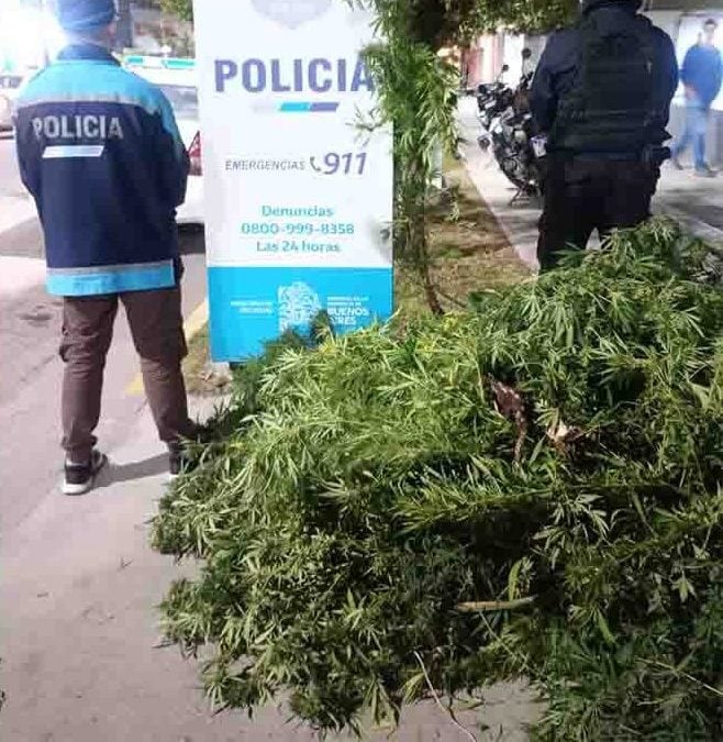 Bahía: allanamiento por amenazas de tiroteo escolar terminó con secuestro de marihuana