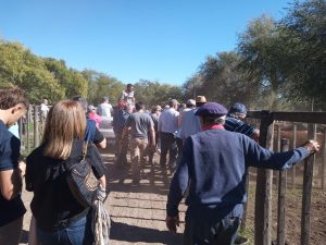 Excelente remate feria de Arzoz y CÍA con firmeza en los precios