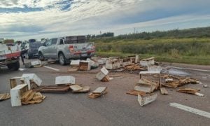 Ruta 3: Choque de una camioneta con colmenas y un camión provocó un colapso de tránsito de varias horas