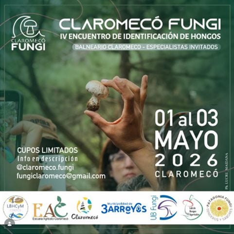 Claromecó se convierte en mayo en epicentro del Reino Fungi