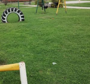 Vecinos del Barrio Chacra de López preocupados por vandalismos: Exigen mas control en seguridad