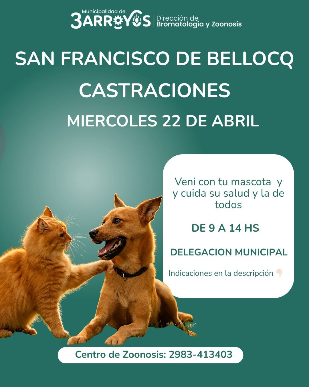 El miércoles, castraciones para canes y felinos en Bellocq
