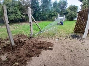 El Consejo Escolar fortalece el trabajo conjunto en establecimientos de las localidades