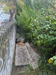 El Consejo Escolar fortalece el trabajo conjunto en establecimientos de las localidades