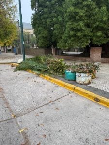 El Consejo Escolar fortalece el trabajo conjunto en establecimientos de las localidades