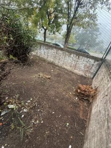 El Consejo Escolar fortalece el trabajo conjunto en establecimientos de las localidades